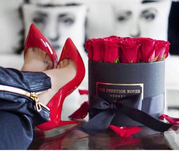 Galería de imágenes